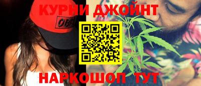 крисы Краснознаменск