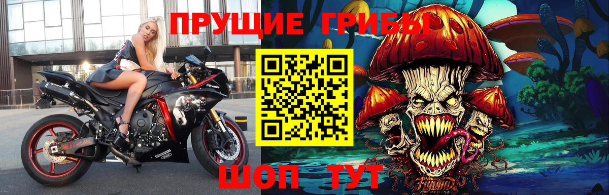 Галлюциногенные грибы Psilocybine cubensis Шебекино